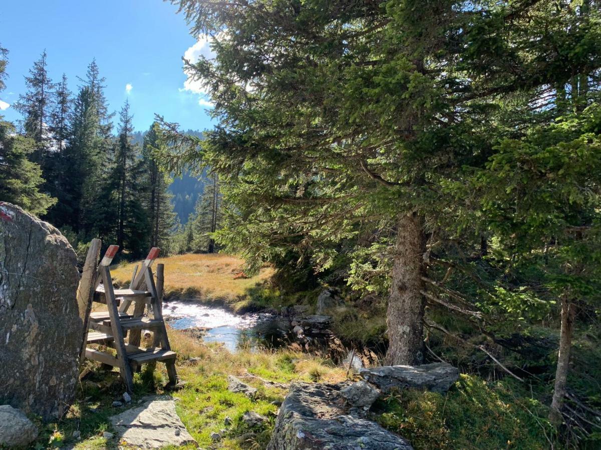 Bauernhaus Heisenbauer Neukirchen am Grossvenediger Bagian luar foto
